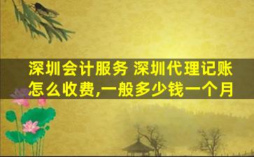 深圳会计服务 深圳代理记账怎么收费,一般*一个月